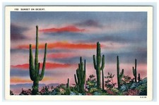 Vintage Sunset ON Desert Saguaro Cactus Western Country Postcard Herz picture
