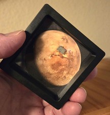 Genuine Mars Rock, XL Martian Meteorite Interactive Display w/ Authenticity Card picture