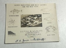 Christmas Vintage Card US Fish Wildlife Lab Beaufort NC 1958 picture