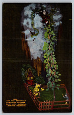 c1940s Jack Beanstalk Fairyland Caverns Lookout Mountain TN Postcard picture