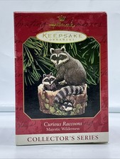 1999 Hallmark Keepsake Christmas Ornament “Curious Raccoons