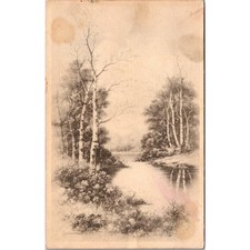 Silver Birches by Artist Don Swann Vintage Postcard SPN25 picture