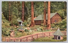 Vintage 1912 Sequoia Park Eureka California Postcard Scenic View picture