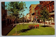 The Mall Like A Park  In Kalamazoo Michigan MI Vintage Postcard picture