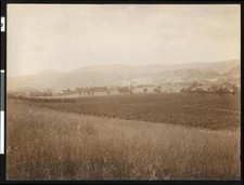 View of Alexander Valley near Healdsburg 1900 California Old Photo picture