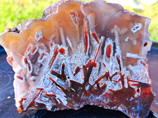 5.5oz Turkish Stick Agate Cut And Hand Polished Display Specimen picture