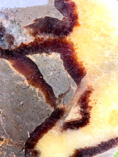 Large Septarian Nodule Slab - UV Reactive - polish, collecting, or cab  - 282g picture