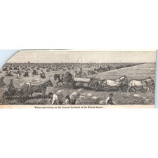 Wheat Harvesting on the Central Lowland of the US 1901 Engraving AF2-A6 picture
