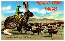 postcard Howdy from Kansas Cowboy on an anthropomorphic Jack Rabbit B3850 picture
