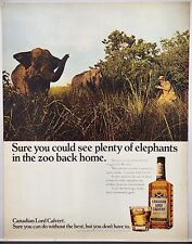1971 Canadian Lord Calvert Extra Whiskey Safari Elephants Vintage Color Print Ad picture