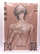 Slow Damage Original Art Exhibition Catalog Book Nitro + Chiral Japan Limited picture