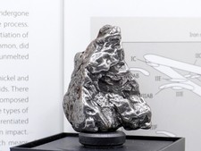 Authentic Campo del Cielo Meteorite | Certified Iron Space Rock from Argentina picture