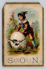 Saxolin Chalcedony Soap Boy Bird Huge Exaggerate Egg Chicago Illinois P422 picture