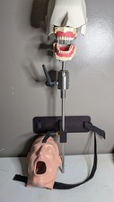 VTG Columbia Dentoform Dental Phantom Head Display W/ Stand - Metal Shroud (#13) picture