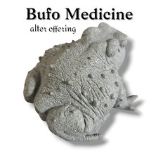Bufo Medicine Alter Offering Bufo alvarius Figure picture