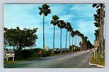 Dunedin FL-Florida, Edgewater Drive, Scenic View, Vintage Souvenir Postcard picture