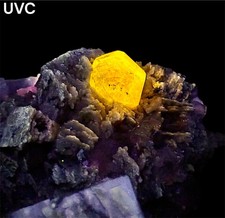 659 Gr. Fluorescent Phosphorescent Full Terminated Apatite Huge Crystal On Matrx picture