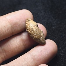 Genuine Ancient Early Civilization Stone Amulet Bead in good Condition picture