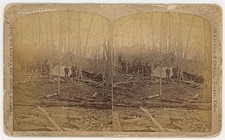 OHIO STEREOVIEW - Toledo - Group in Forest - McKecknie & Oswald 1880s RARE picture