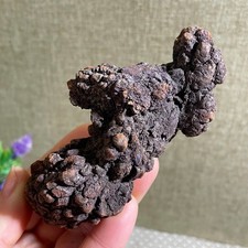 165g Top Best Rare dung coprolite Poop specimen #168 picture