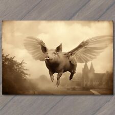 POSTCARD: Surreal Flying Pig with Eerie Vibes, Defying Gravity Unknown 🐷🌀 picture