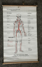 1933  American Red Cross First Aid Instruction Chart Poster 35 by 22 Inches picture