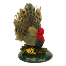 Turkey on Base #670 picture