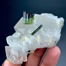 489 CTs Tourmaline Crystals With Quartz & Muscovite Mica Specimen from AFG picture