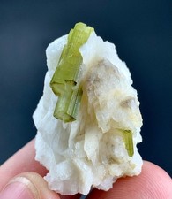 65  Carat Tourmaline Crystal and Quartz Specimen From Afghanistan picture