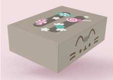 Winter 2025 Pusheen Exclusive Collectible Box Size XS New Unopened Sealed picture