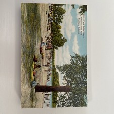 View, Public Beach, Pokagon State Park, Angola, IN - Postcard Unused 28 PCs picture