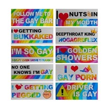 10PCS Funny Rainbow Magnetic Bumper Stickers - Hilarious Vehicle Decorations picture