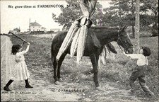 Farmington Minnesota MN Giant Corn & Horse Farming Exaggeration c1910 Postcard picture