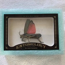 2011 Goodwin Entomology Card 4x6. ENT15 picture