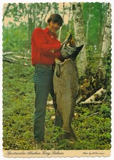 Spectacular Alaskan King Salmon - Alaska picture