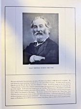 1912 Vintage Illustration Poet Walt Whitman During Civil War picture