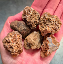 6 Rough Uncut Baby Malawi Agate picture