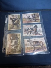 Victorian Trade Card Phelps Dodge Palmer Boots & Shoes Dogs Chicago 1880s Lot 5 picture
