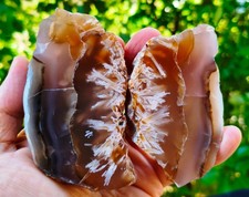 14.28 Oz Mirror Polished Pink Purplish Stick Rare Agate Pair picture