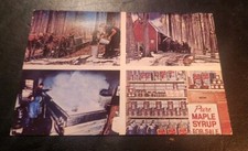 VTG Martins Pure Maple Syrup Photo Postcard Waterloo Ontario Canada picture