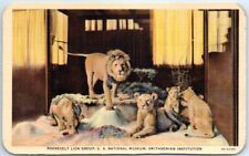 Roosevelt Lion Group, US National Museum, Smithsonian Institution, USA picture
