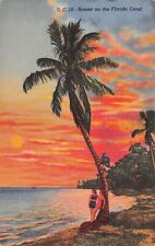 Key West FL Florida Keys Bathing Beauty Largo Islamorada Sunset Vtg Postcard D16 picture