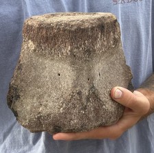 GIANT MEGALODON ERA LEVIATHAN CETACEAN VERTEBRA FOSSIL BACK BONE 6 X 6 picture