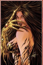 Witchblade 26 - FOIL - Sveta Shubina Beyond Wednesdays LE 420 Special - Presale picture