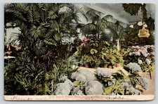 Independence Iowa~First Annual Flower Show~Munson Building Interior~August 1907 picture