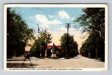 Jackson MI-Michigan, Soldiers Monument Wildwood Avenue Vintage Souvenir Postcard picture
