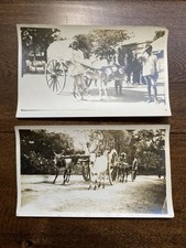 Madura India Vintage Carts in Madurai 2 Snapshot Original Vintage Photos picture