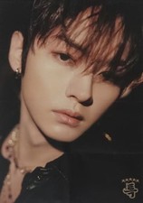 Stray Kids SKZ 5-STAR Limited Edition Folded Poster 8-Fold Japan picture