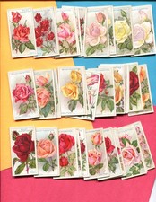1926 W. D. & H. O. WILLS LTD. ROSES 50 DIFFERENT TOBACCO CARD SET picture