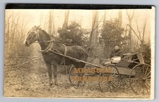 C.1910 RPPC BEAUTIFUL HORSE AND CARRIAGE, OCCUPATIONAL ? PHOTO Postcard P99 picture